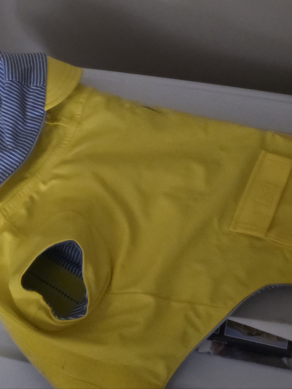 Bright Yellow Dog Raincoat with Striped Lining